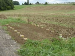 0_pas de geant (2)
